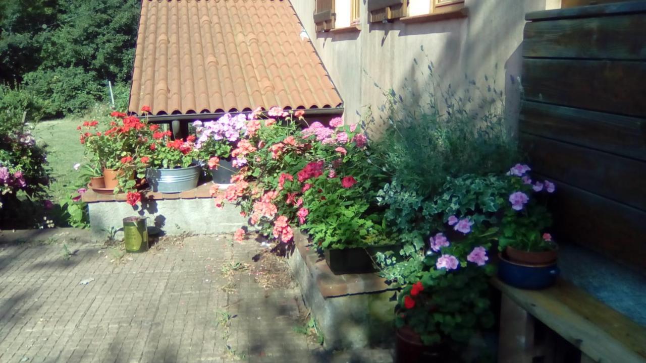 Il Pettirosso Di Giusvalla エクステリア 写真