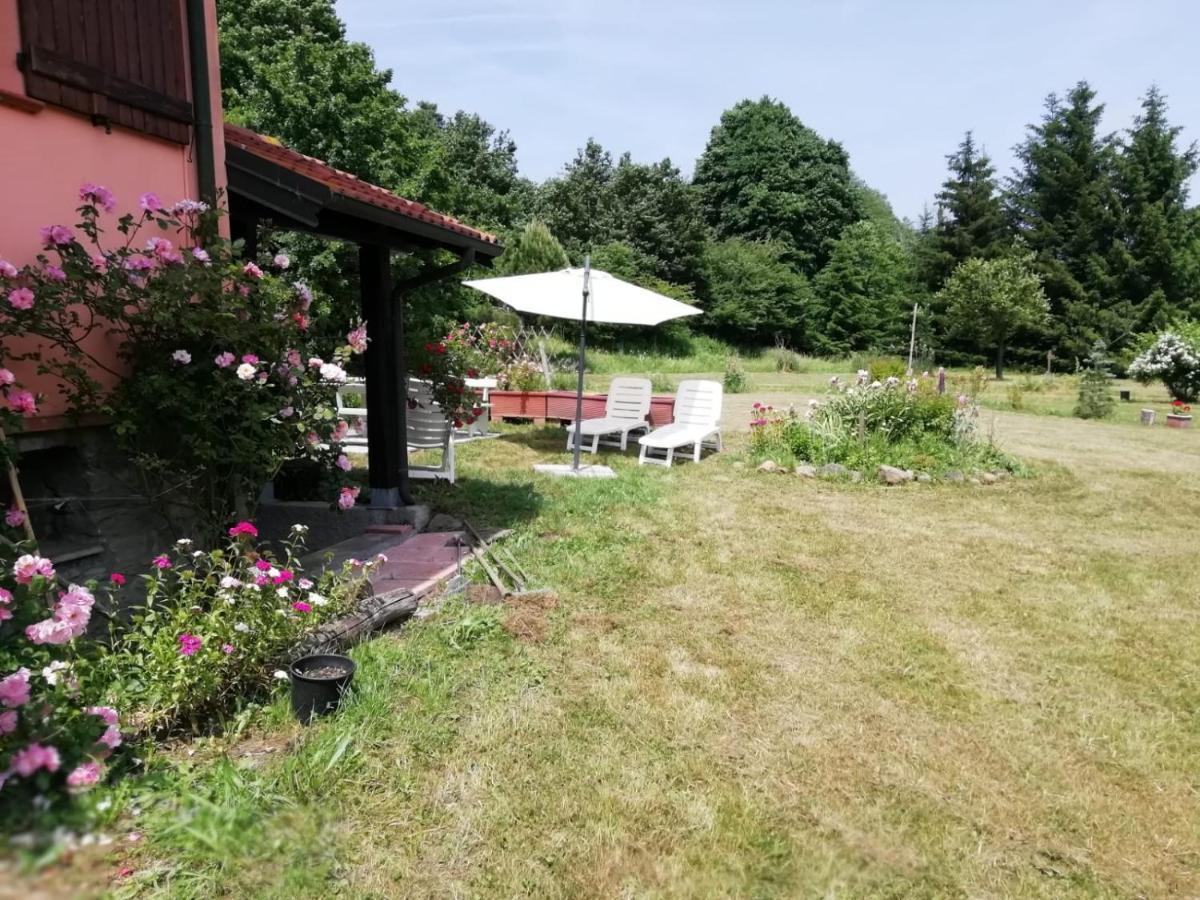 Il Pettirosso Di Giusvalla エクステリア 写真
