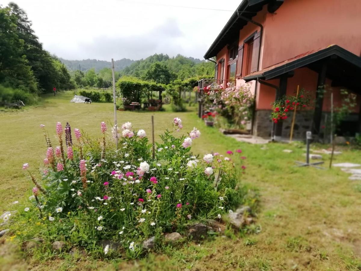 Il Pettirosso Di Giusvalla エクステリア 写真